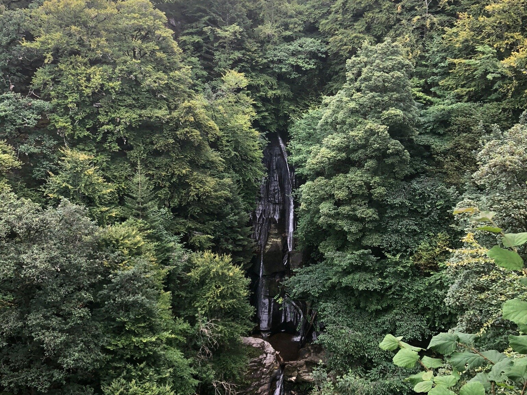 Falls of Acharn景点图片