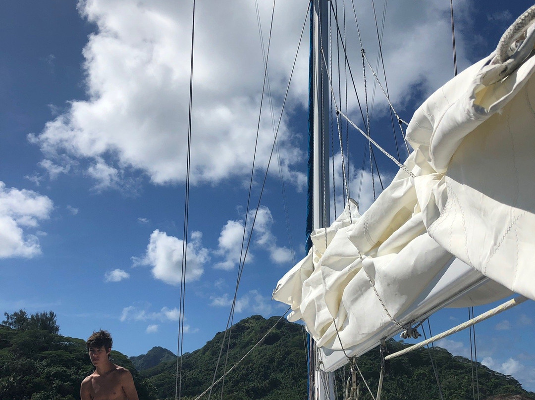 Tahiti Sailing Charter - Day Tours景点图片