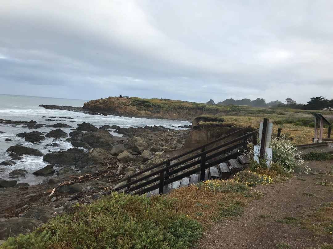 Moonstone Beach Drive景点图片