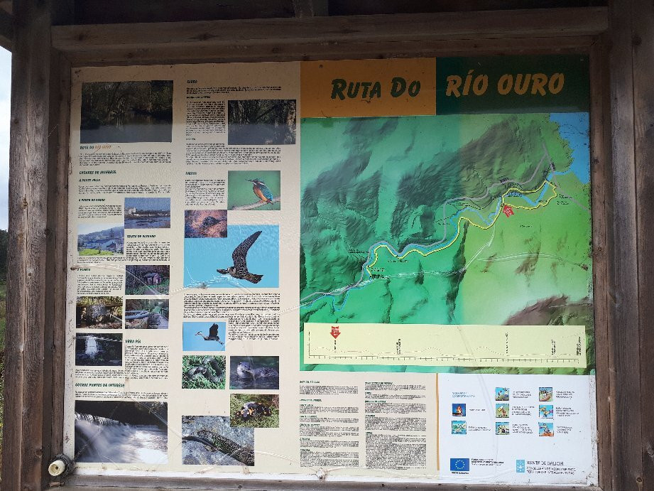 Ruta Rio Ouro景点图片