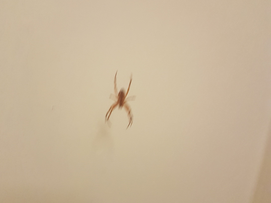 Family Resort UTES主图