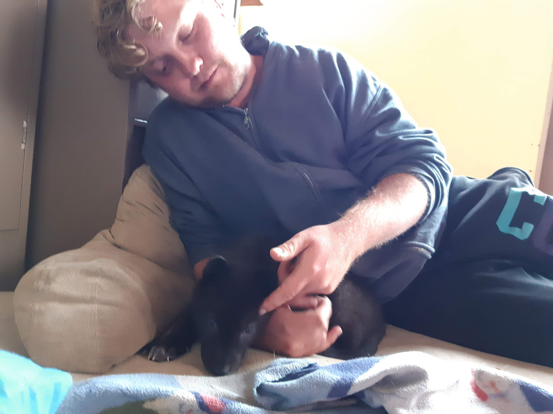 Mission: Wolf-Gardner必去景点