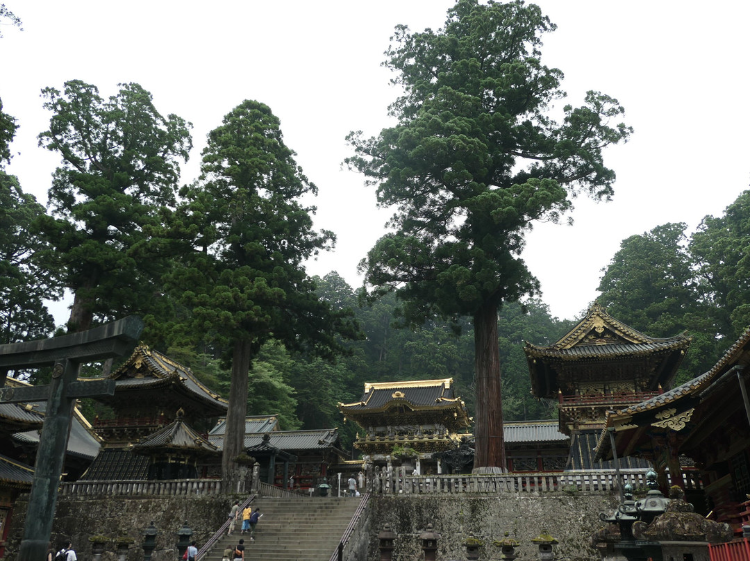 Yomeimon (Main Gate)景点图片