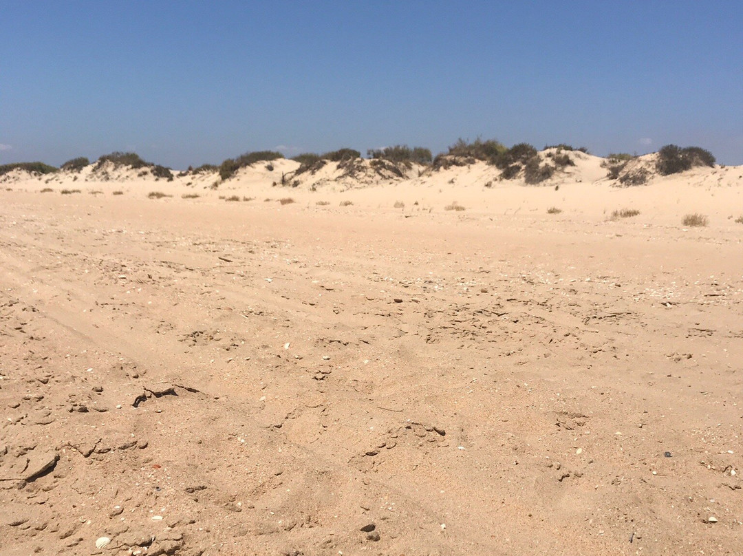 Playa Nueva Umbria景点图片