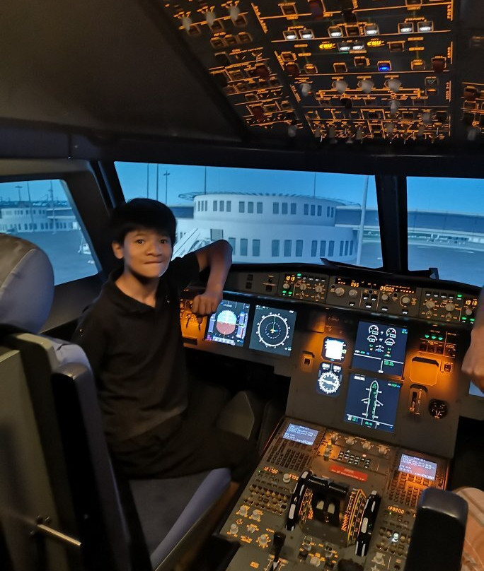 Fly Simulation Toulouse景点图片