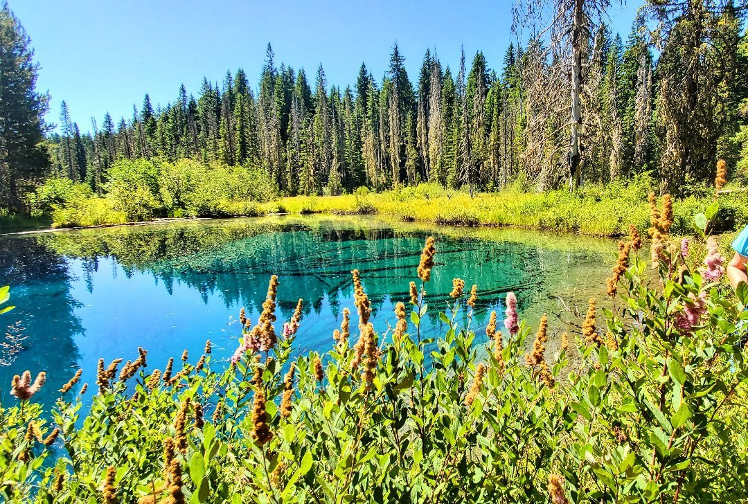 Little Crater Lake-Government Camp必去景点