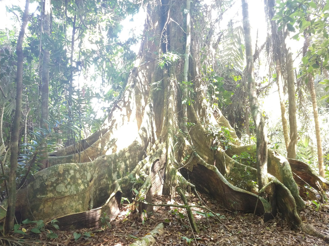 Parque Nacional do Descobrimento-Prado必去景点