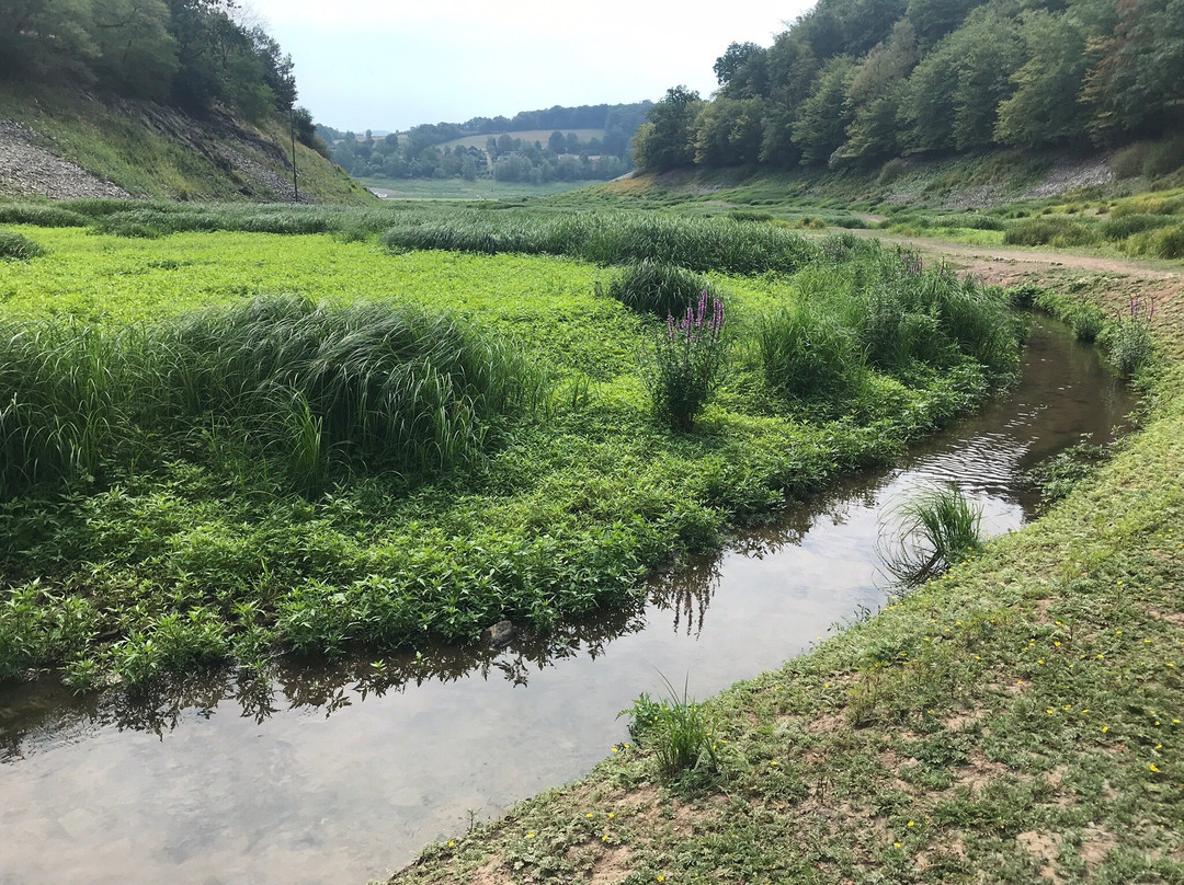 Edersee-Waldeck必去景点