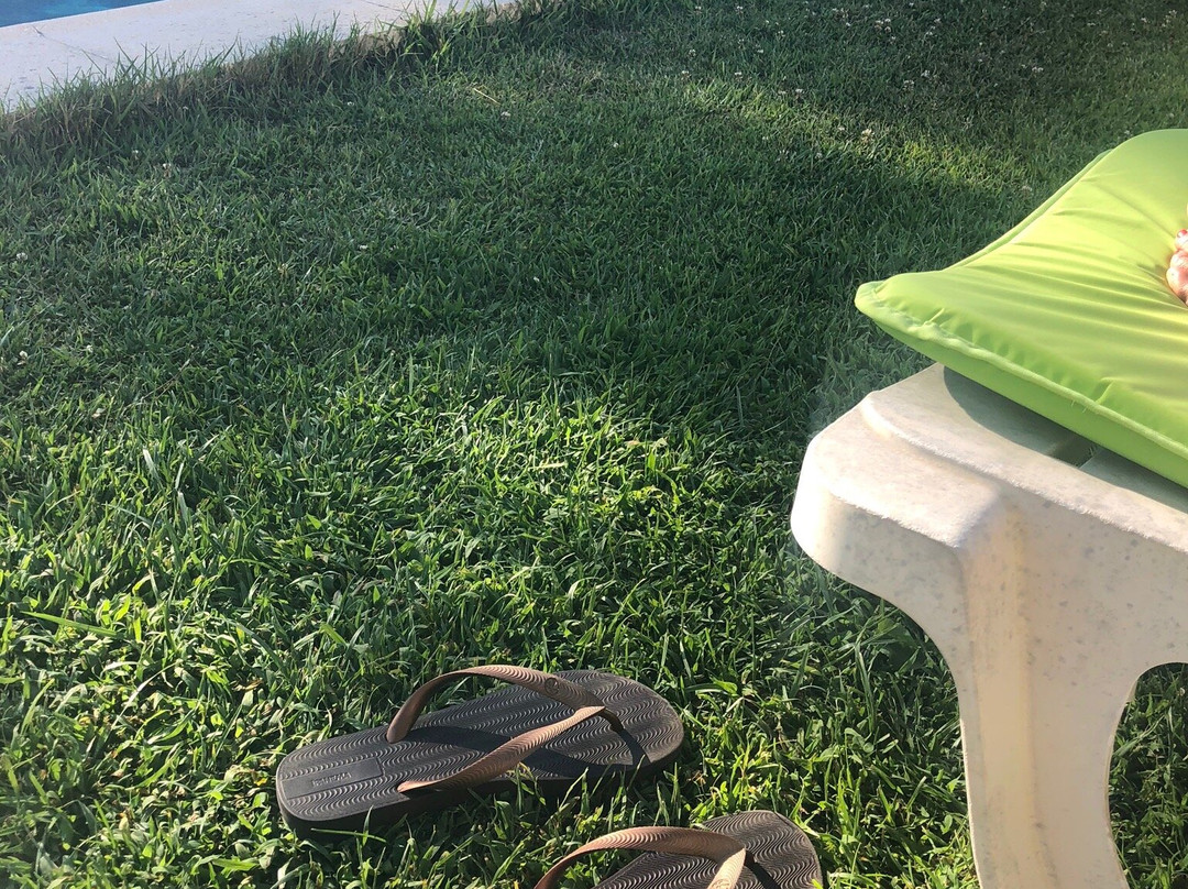 The New Laziness主图