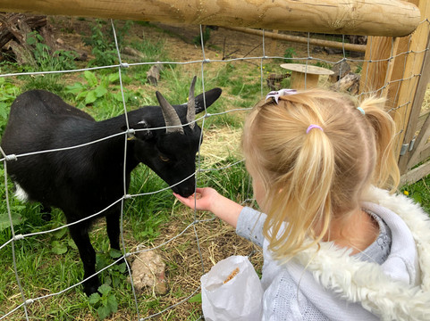 George Mead Memorial Stables-Welling必去景点