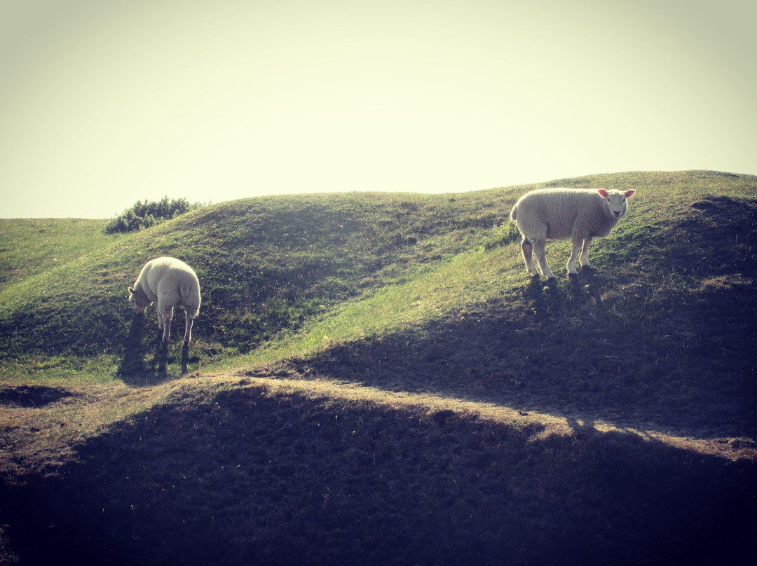 Burton Dassett Hills Country Park景点图片