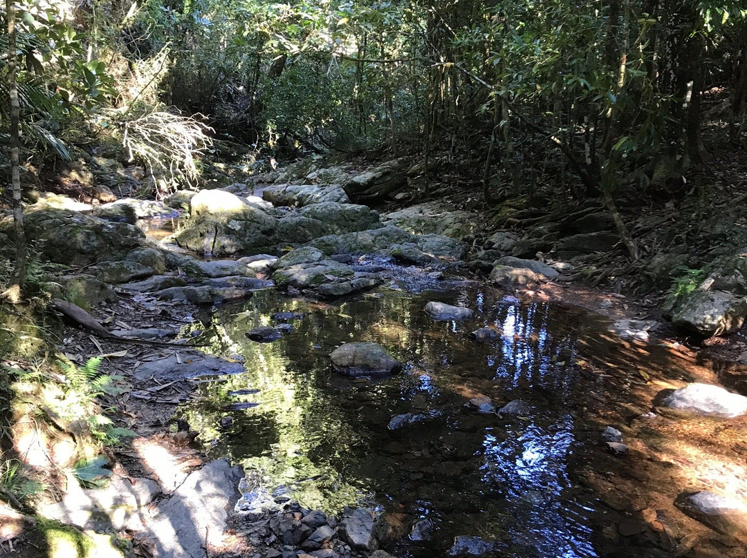 Parc des Grandes Fougères-Farino必去景点