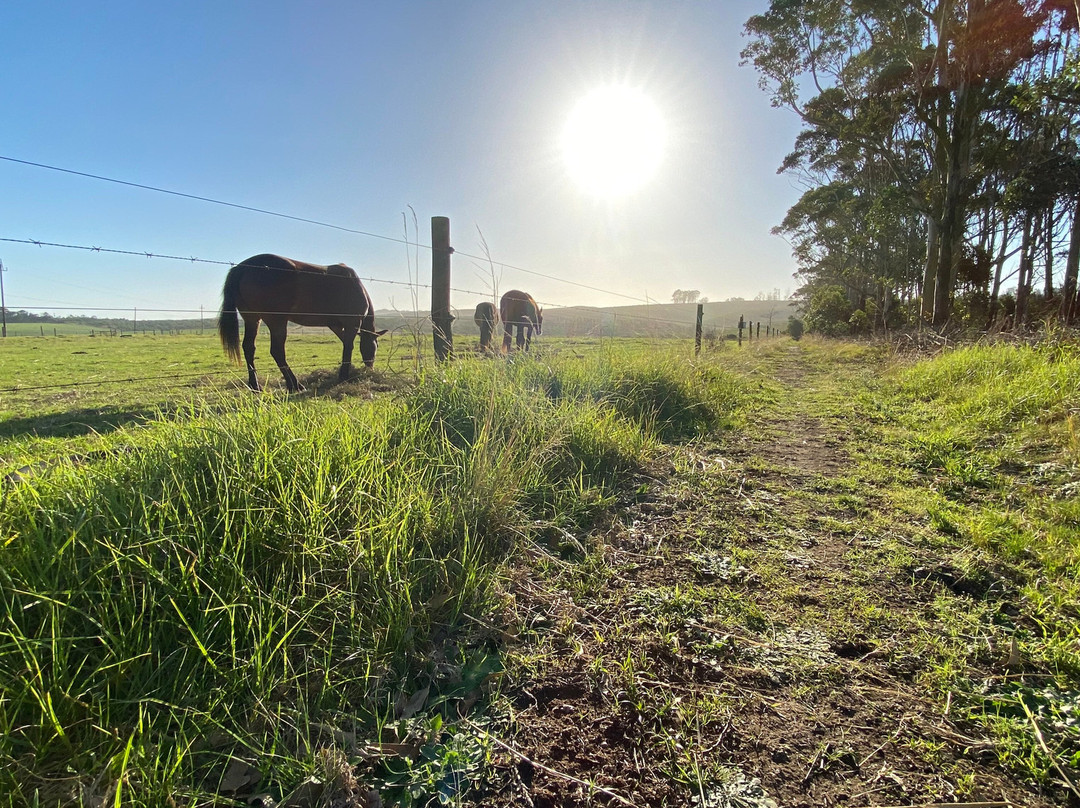 Cairnbrogie-普利登堡湾必去景点