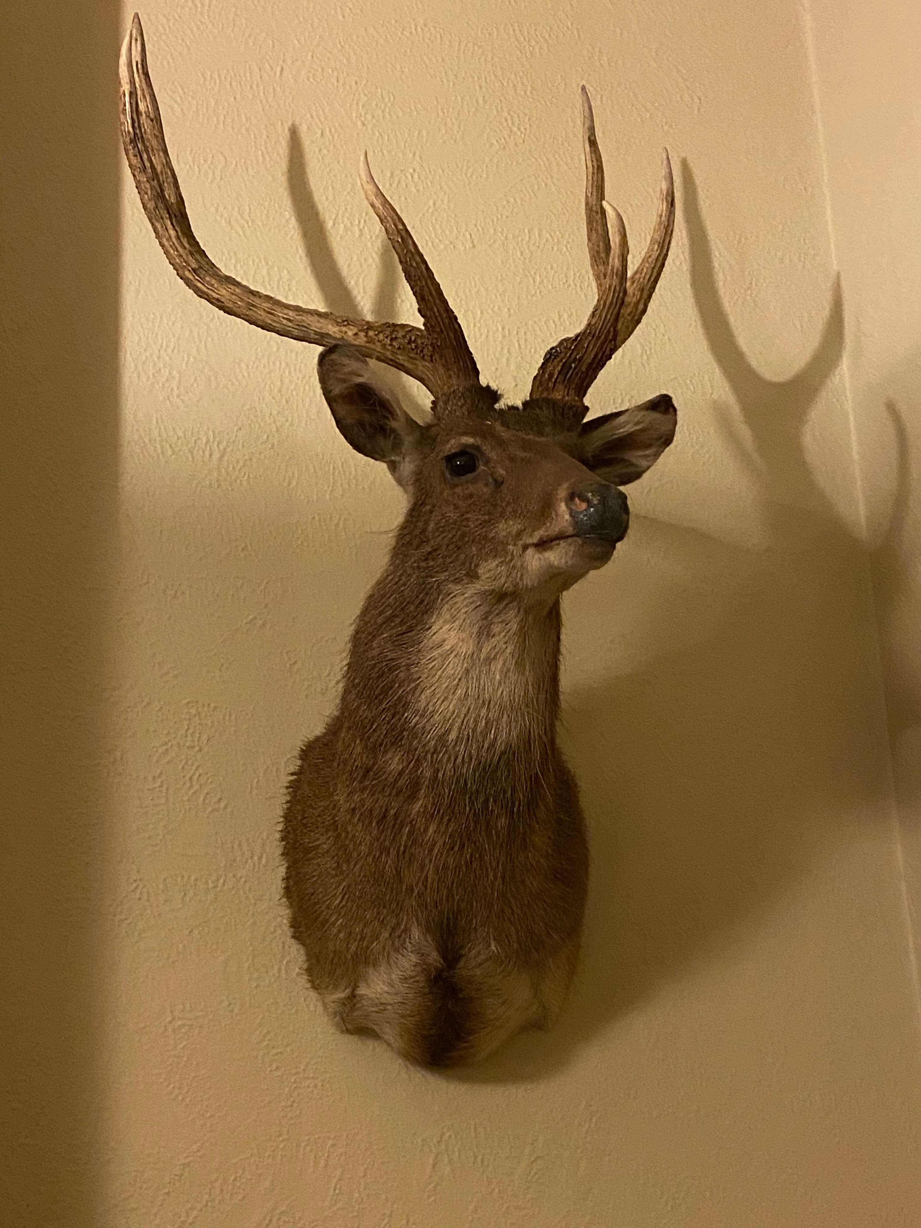 Royal Exchange Hotel-餐饮