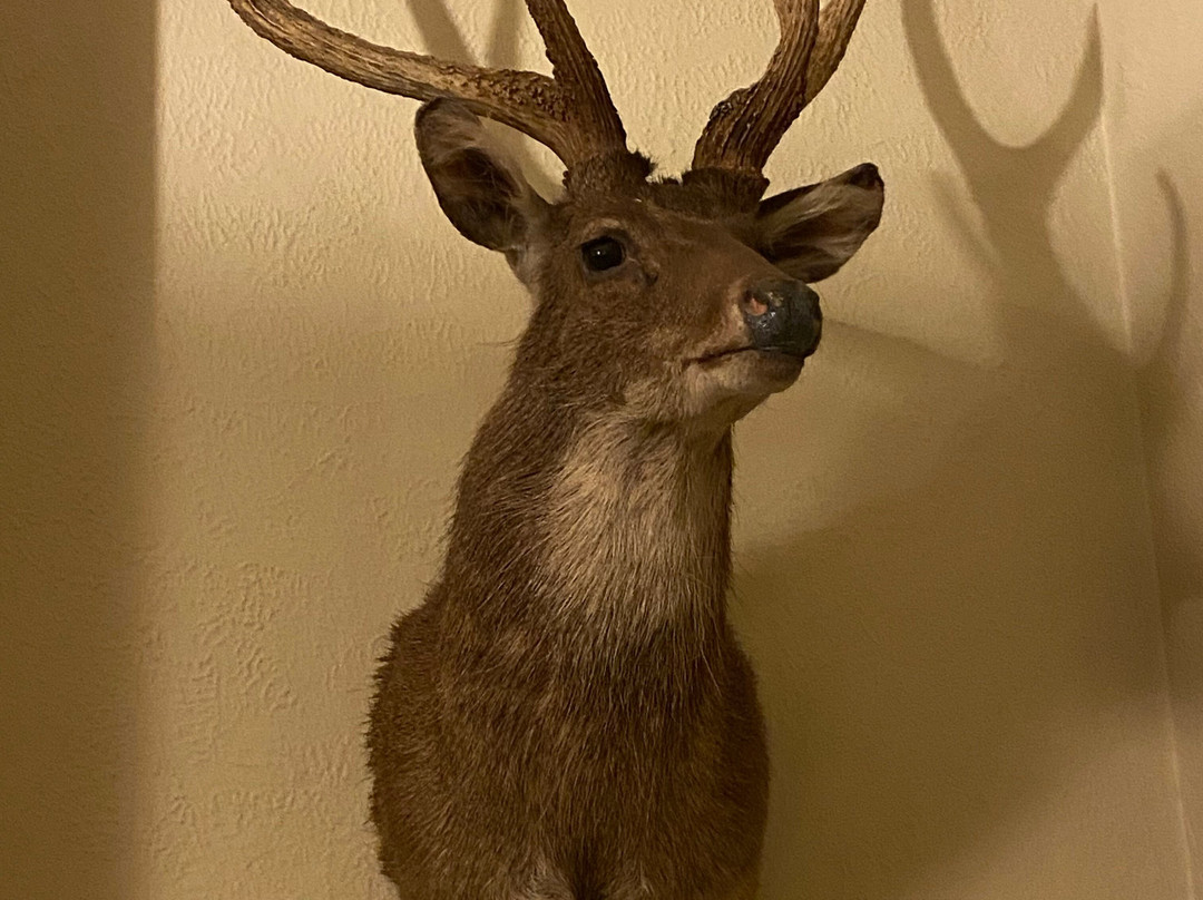 Royal Exchange Hotel主图