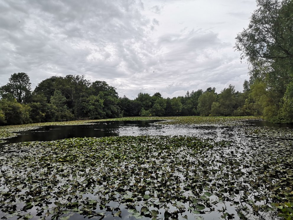 Stephenstown Pond Nature Park-Dundalk必去景点