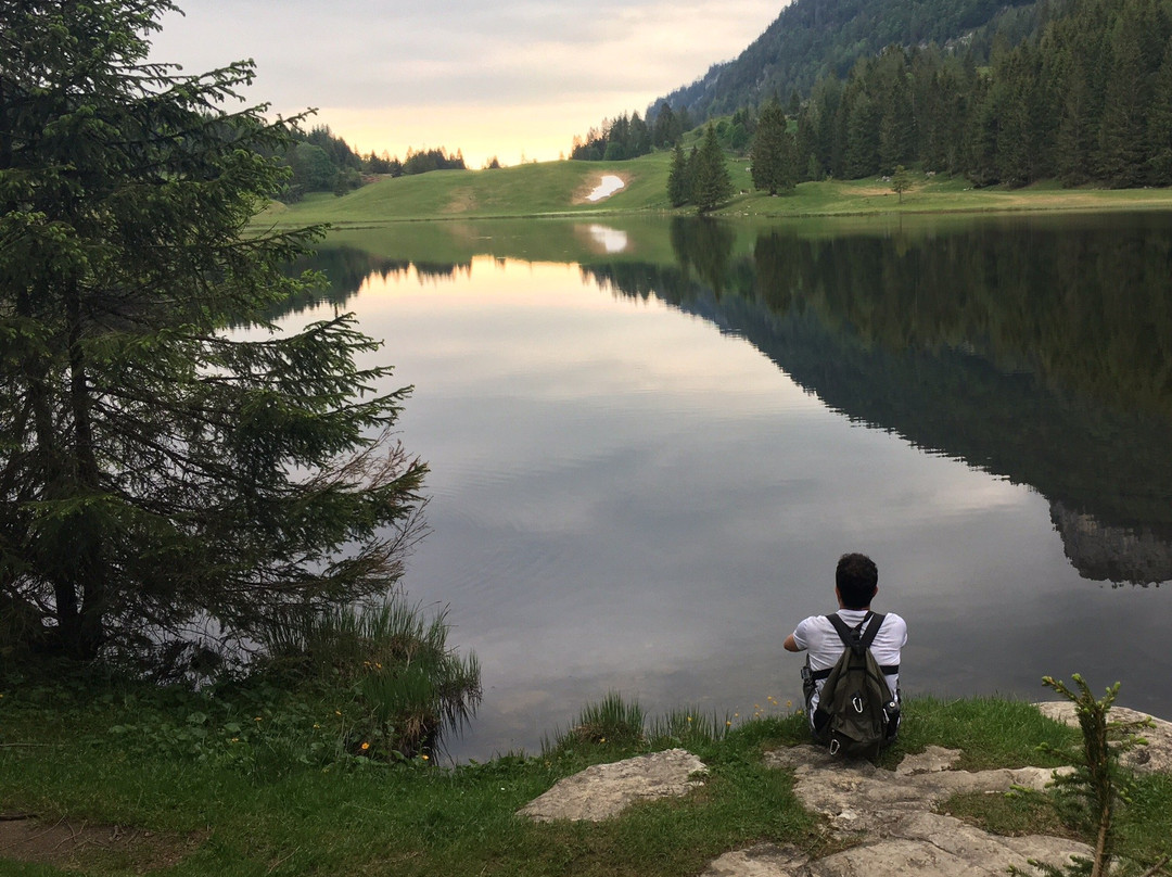 Seewaldsee-Sankt Koloman必去景点