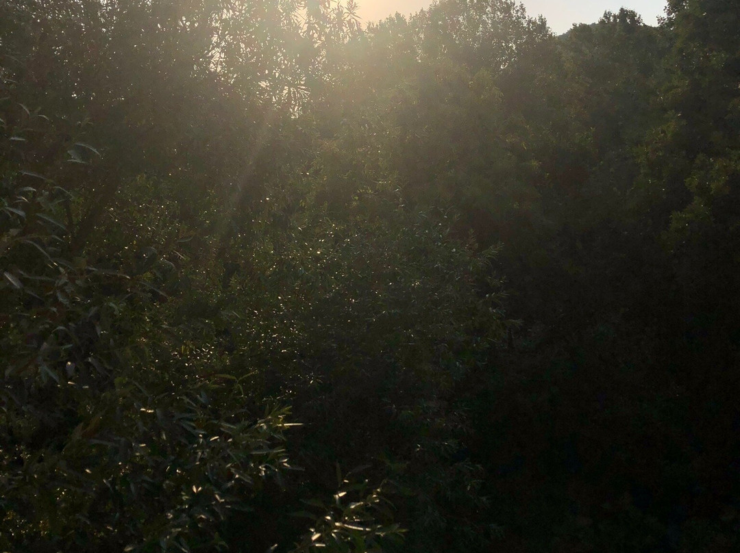 Hotel Iriguibel主图