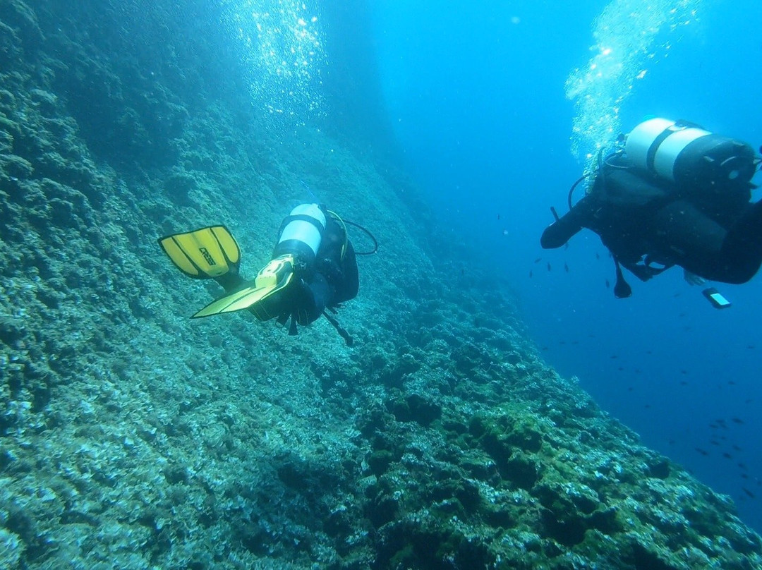 Just Dive Croatia景点图片