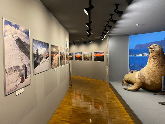 Rebuncho Local Museum-礼文町必去景点