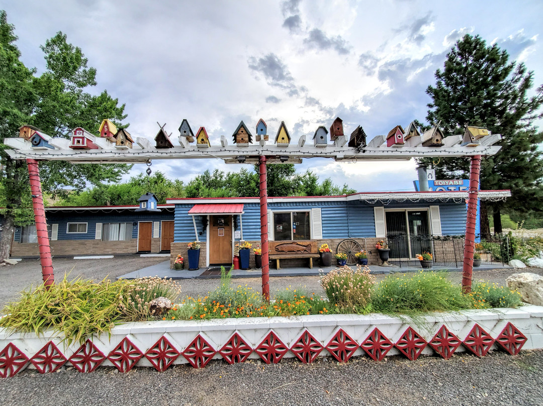 Toiyabe Motel主图