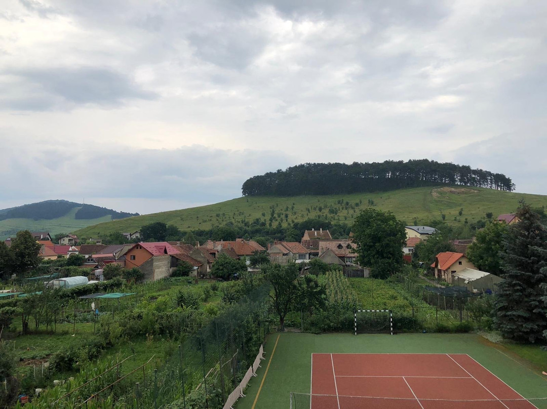 Hotel Bielmann主图