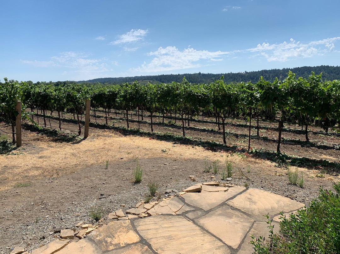 Delorimier Winery Vineyard Farmstay主图