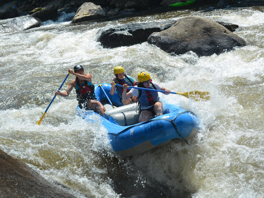 Precision Rafting Expeditions景点图片