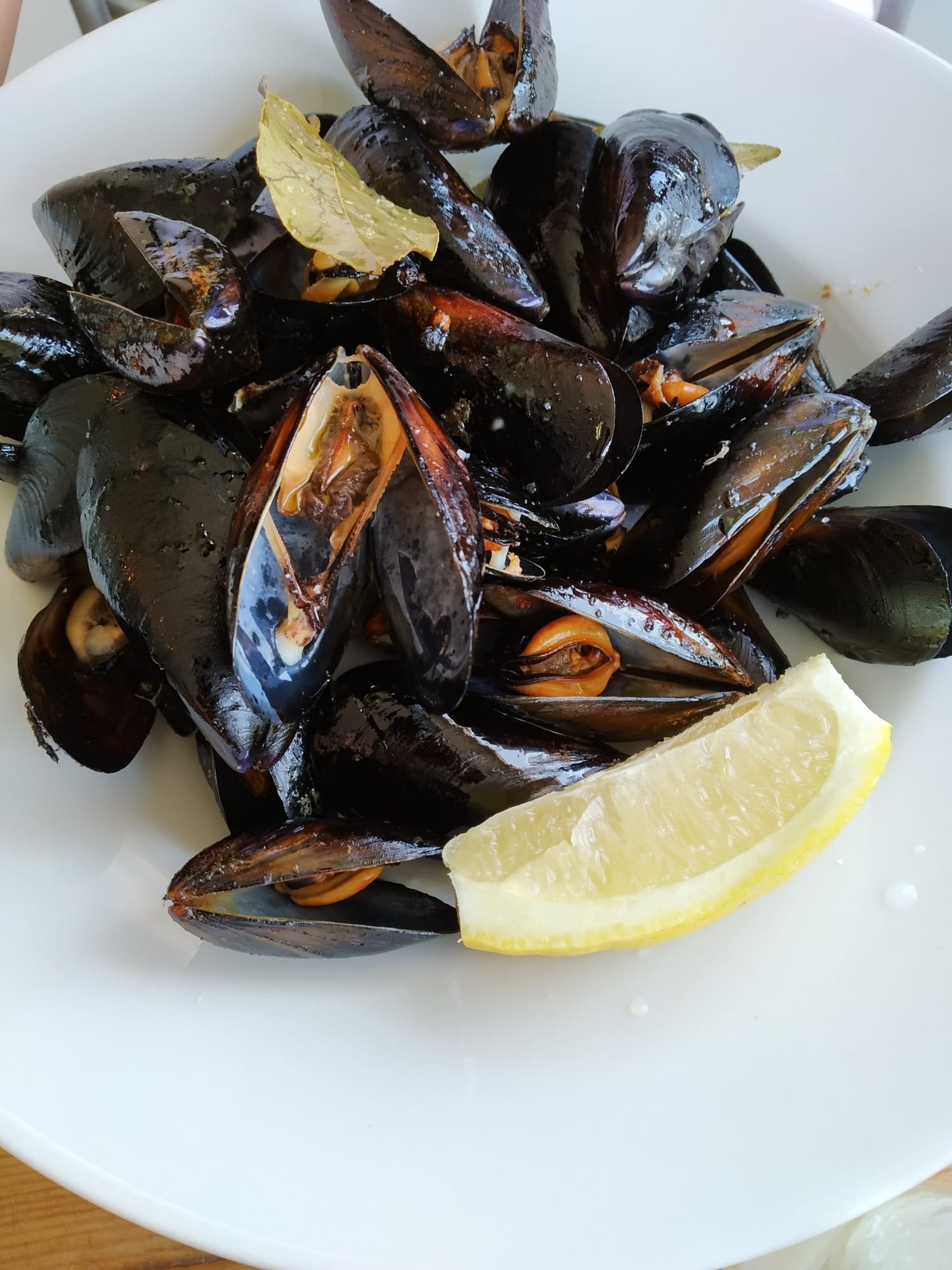 Dynamic Hotels-官方