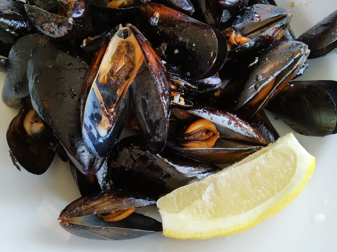 Dynamic Hotels主图