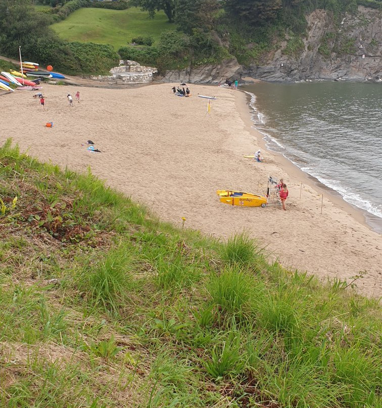 Leaping Dolphin-Aberporth必去景点