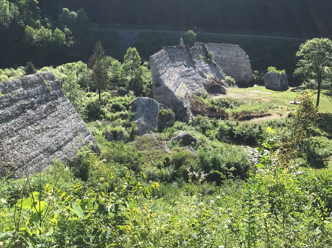 Austin Dam Memorial Park景点图片