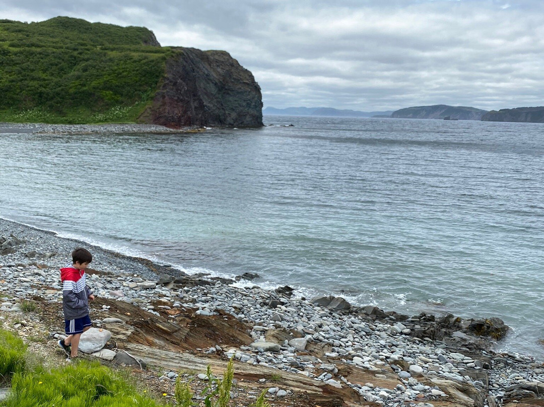 Fox Island Trail景点图片
