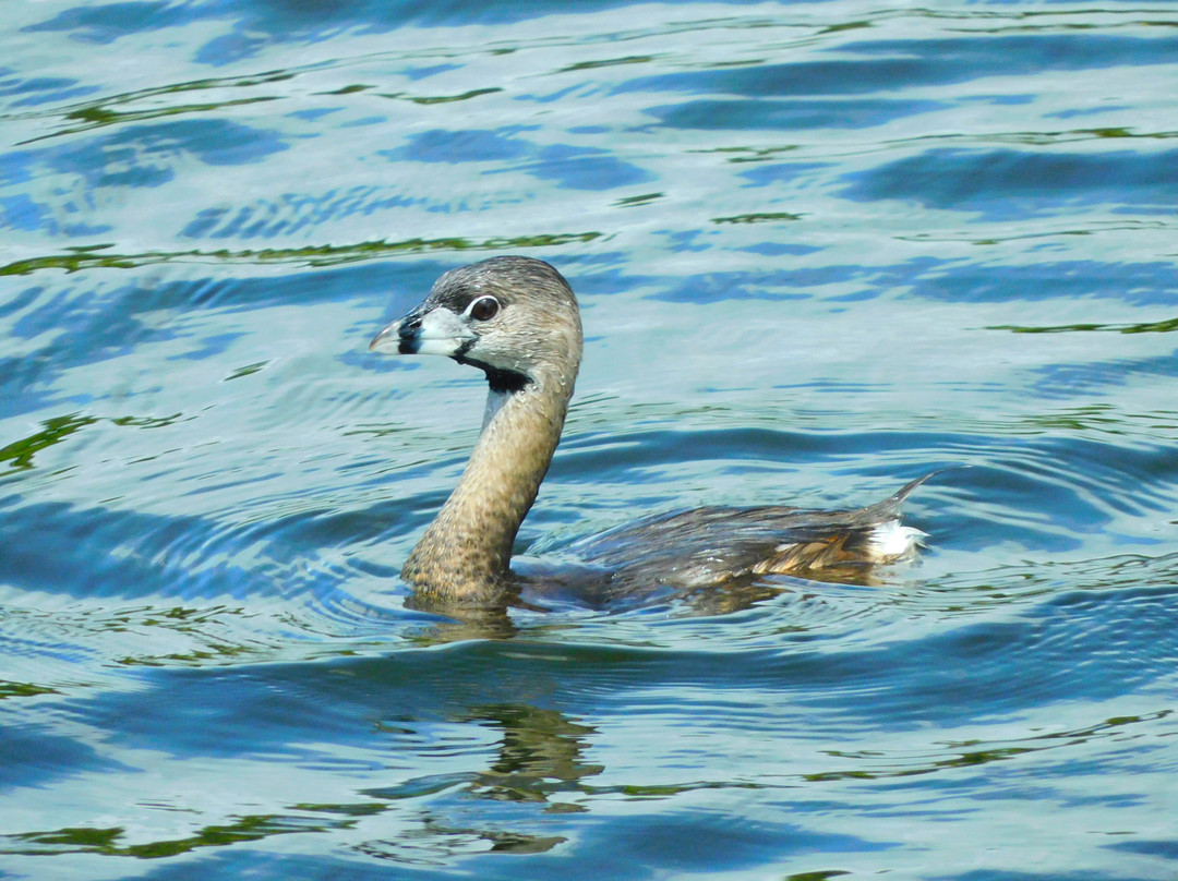 Bayhead Action Park-拉哥必去景点