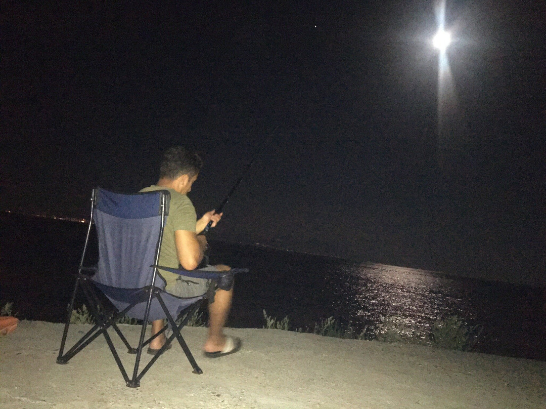 Salihler旅游攻略图片