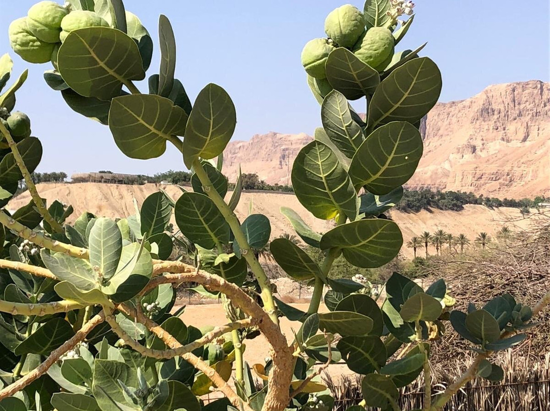 Tel Be'er Sheva National Park-贝尔谢巴必去景点