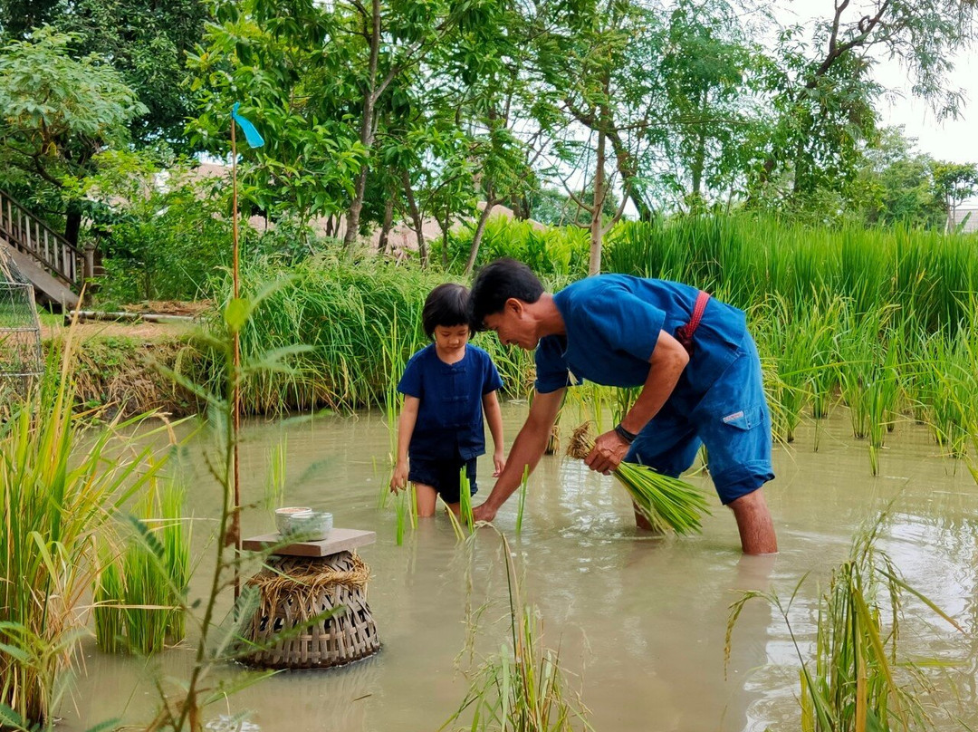 桑普兰滨江酒店主图
