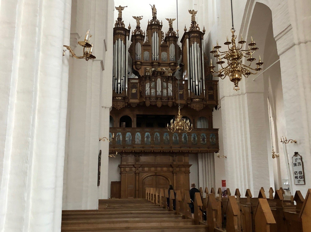Haderslev Domkirke-哈泽斯莱乌必去景点