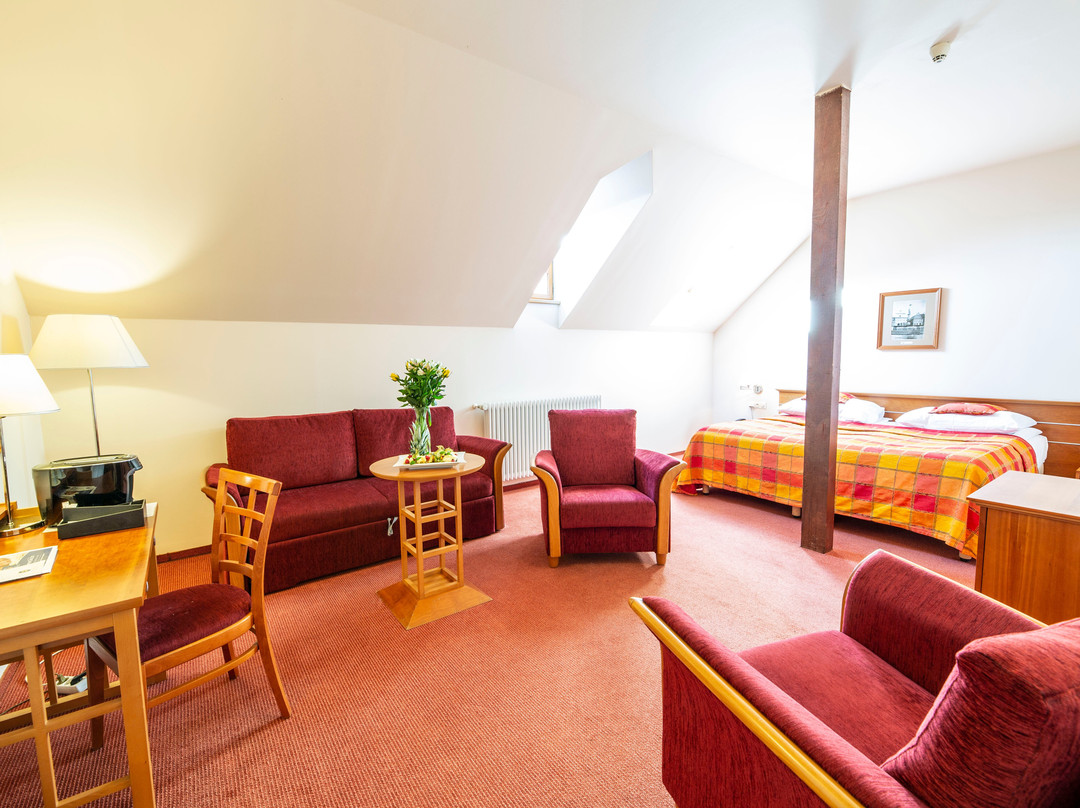 LH Hotel Dvorak Tabor Congress & Wellness主图