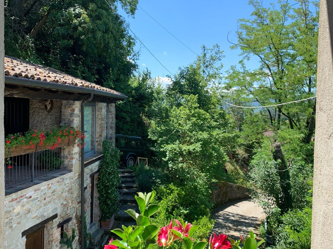Agriturismo Wildmann