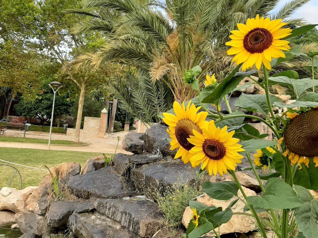 Torrecremada Park-德尼亚必去景点