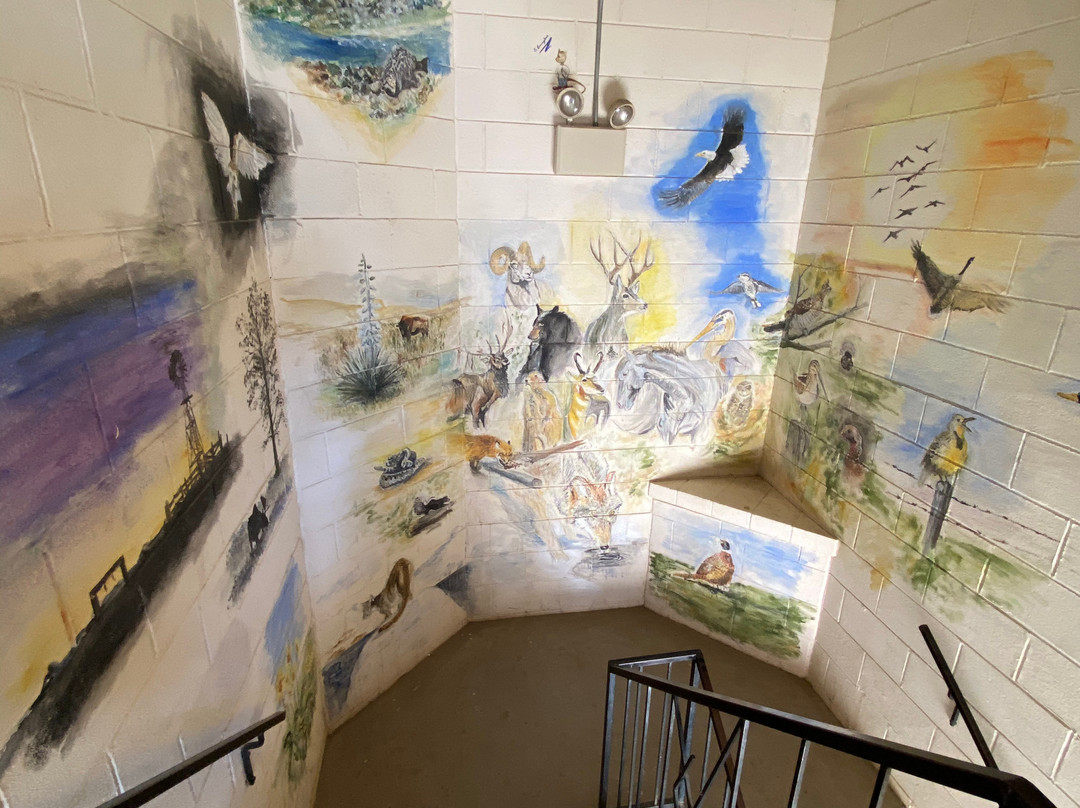 Broadus Motels主图