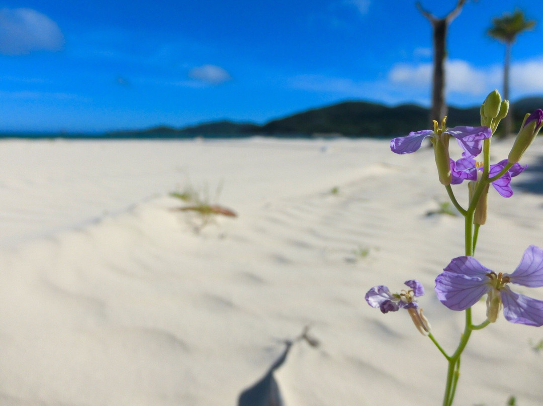 Eef Beach景点图片
