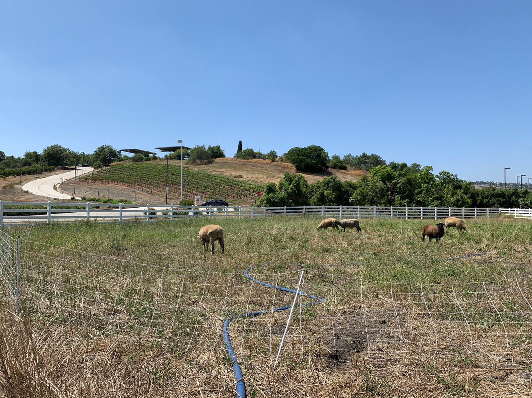 Farm Store at Kellogg Ranch-波莫纳必去景点