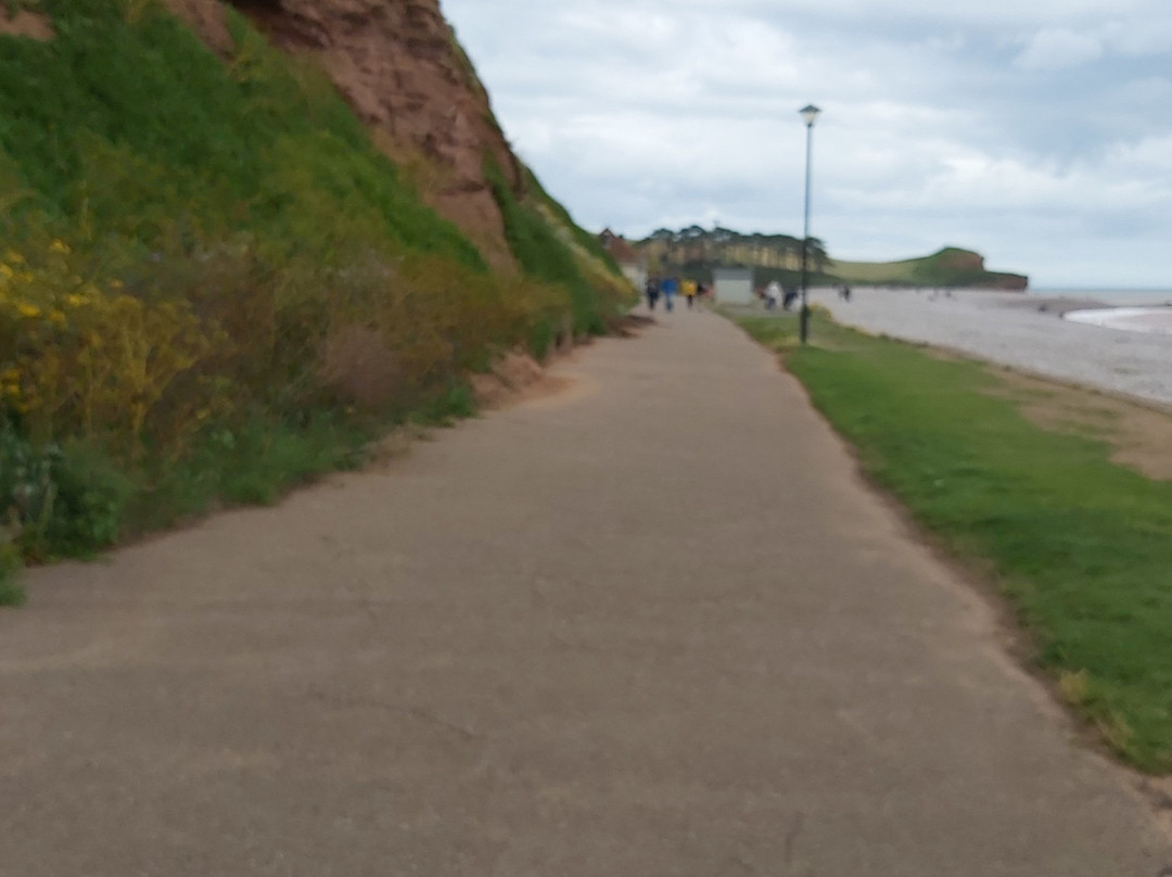 Red Rock Roots-Budleigh Salterton必去景点