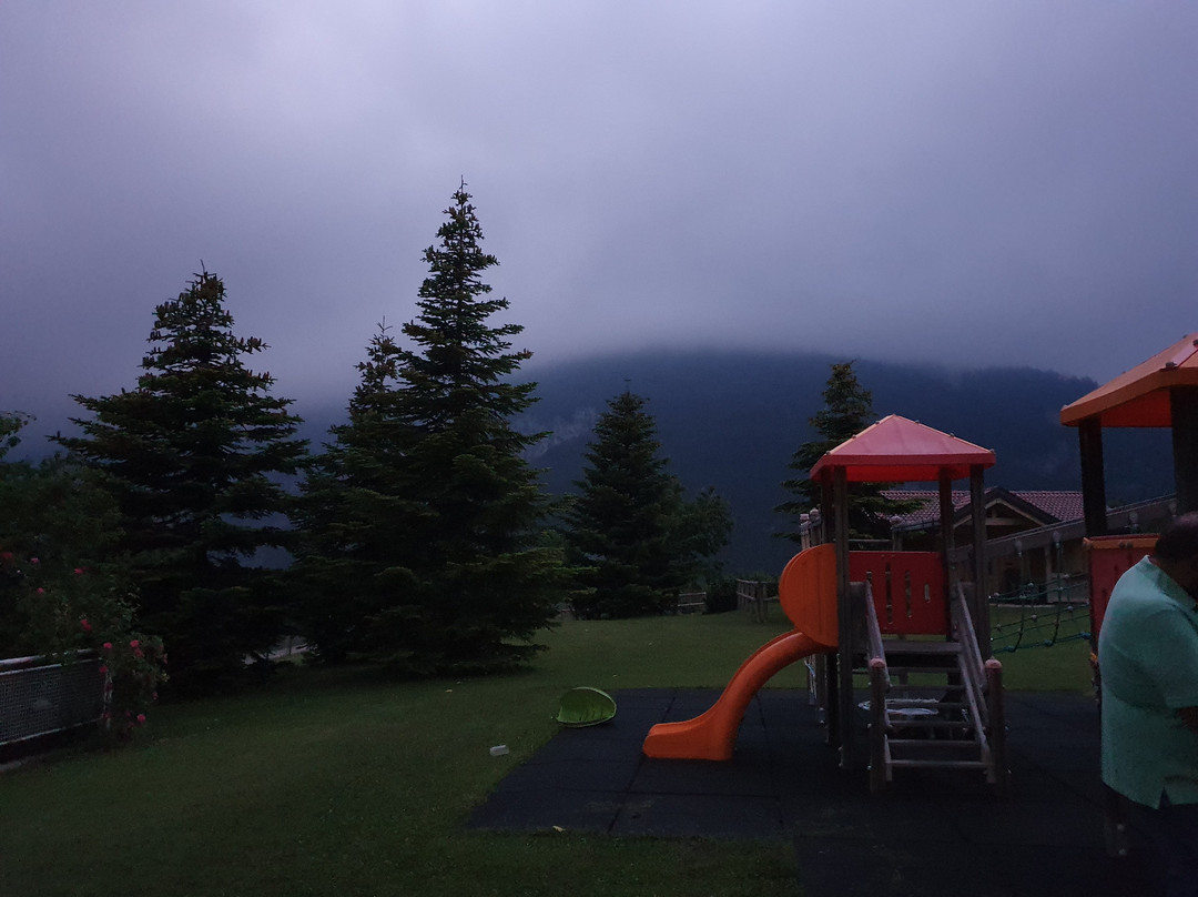 Hotel Belvedere主图