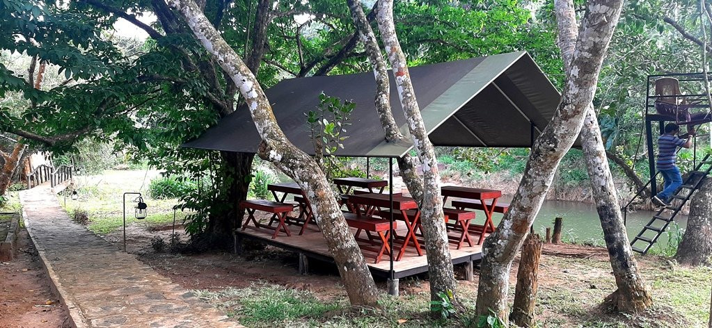 360 Rainforest主图