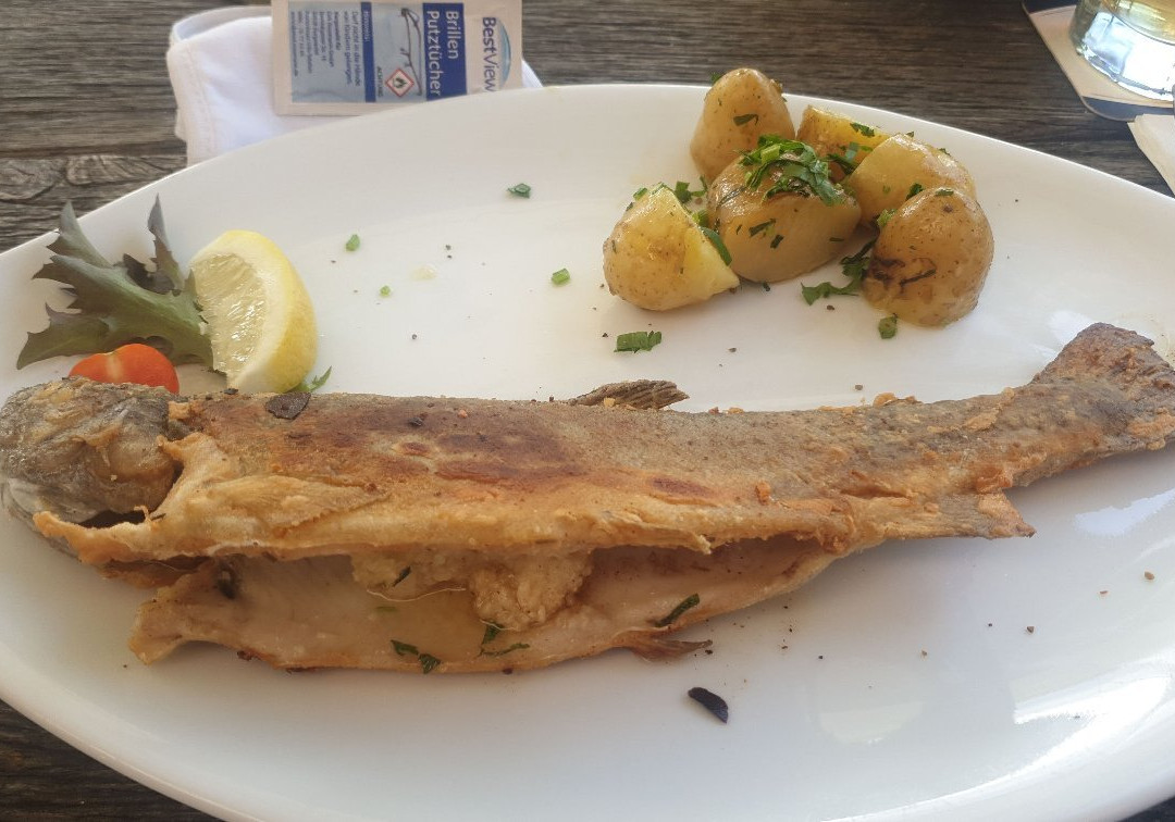 Gasthof Forellenhof主图