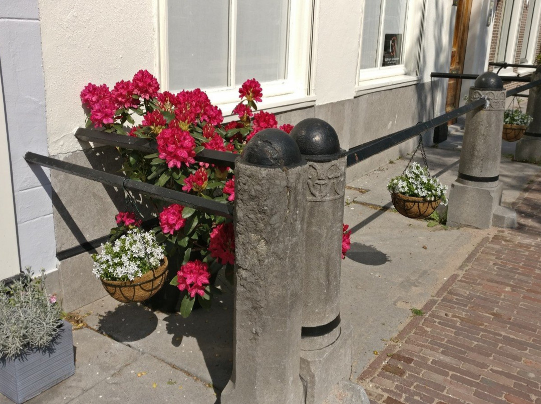 B&B Hart Van Leiden主图