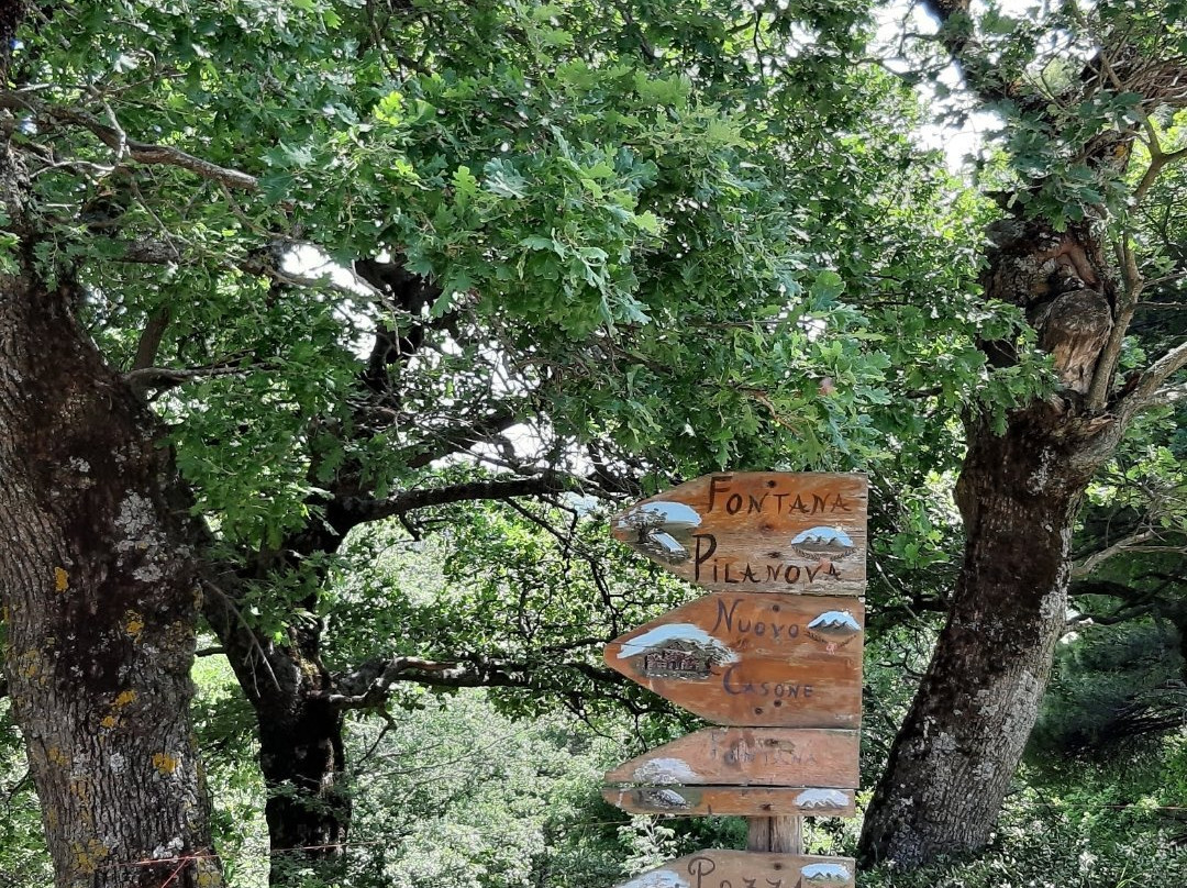 Bosco Paduli-Accadia必去景点